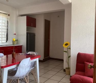 Reforma Apartamento | Comfortable Apartment 10 minutes from Centro