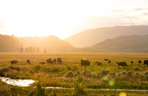 Cooke City-Silver Gate Cabina | Comfortable Cabin next to Yellowstone National Park