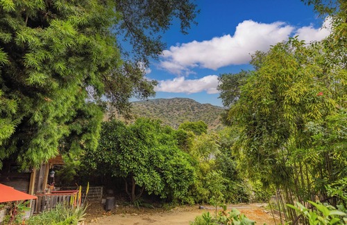 Ojai Casa | Comfortable, pet-friendly 2-bedroom plus office home in gorgeous Ojai. 30+days.