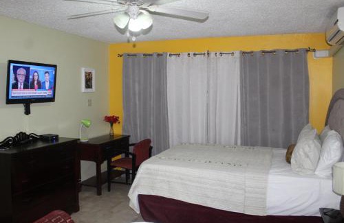New Kingston Apartamento | Comfy, Central & Elegant Studio New Kingston
