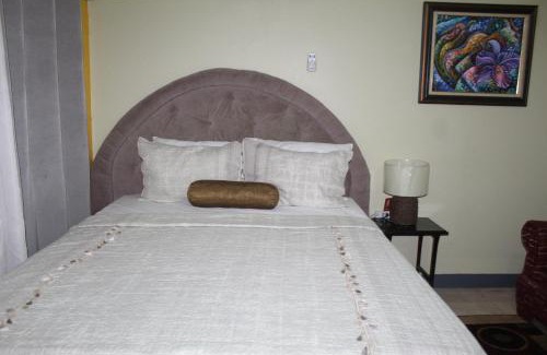 New Kingston Apartamento | Comfy, Central & Elegant Studio New Kingston