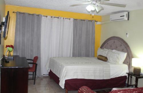 New Kingston Apartamento | Comfy, Central & Elegant Studio New Kingston