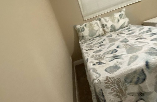South Daytona Condominio | Comfy&Cozy Daytona Oasis Retreat