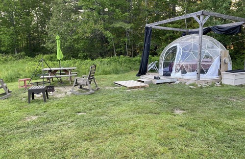 Jefferson Alquiler De RV | ComfyDome Forest-Side Glamping