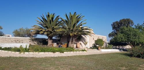 Essaouira Villa | Comme un hameau de charme dominant l'Océan