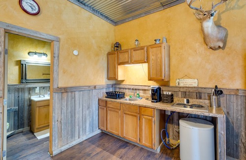 Cayuga Apartamento | Community Pier: Cozy Kerens Cabin!
