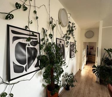 Lipomo Apartamento | Como's Hill Apartments Giungla