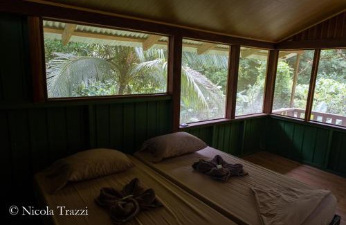 Bahía Drake Cabina | Complejo Ecoturistico Tamandua