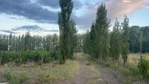 General San Martín Cabina | Complejo la Paz Mendoza