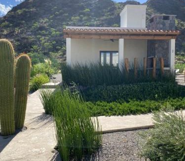 Cafayate Casa | Complejo Los Olivos