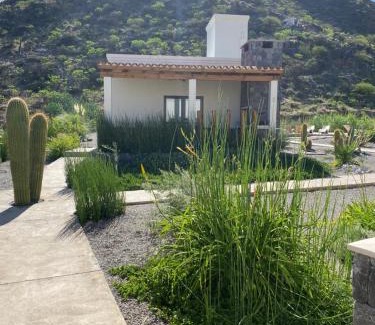 Cafayate Casa | Complejo Los Olivos