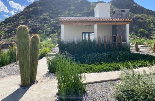 Cafayate Casa | Complejo Los Olivos