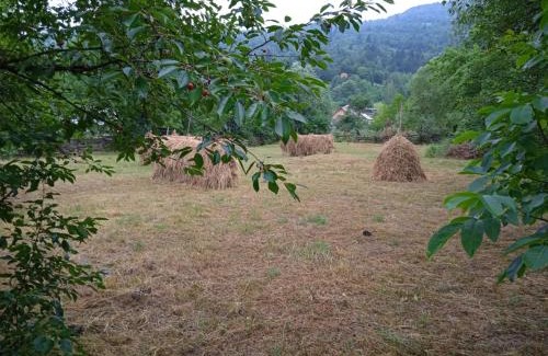 Ceahlau Casa | Complex de pensiuni si casute la munte Bistricioara
