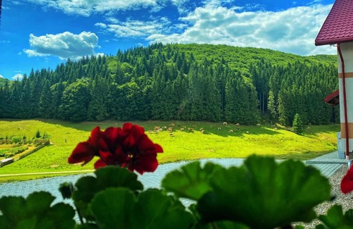 Valea Mare Casa | Complex Turistic Lughet