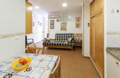Oliva Apartamento | Comtessa