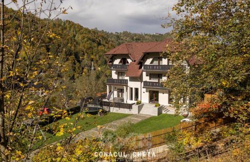 Moieciu de Jos Villa | Conacul Cheia
