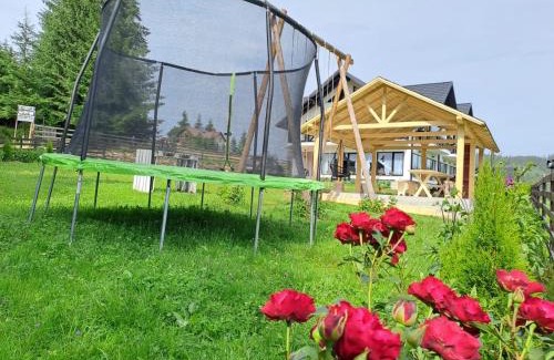 Fundu Moldovei Casa | Conacul Munții Bucovinei
