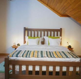 Sangeorz-Bai Casa | Conacul Sanct Gurgh