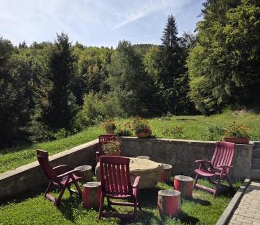 Maneciu Casa | Conacul Valea Popii
