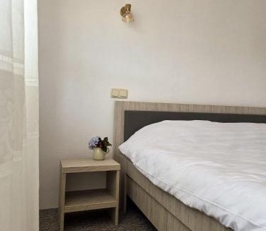 Maneciu Casa | Conacul Valea Popii