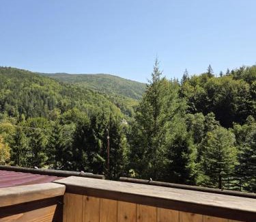 Maneciu Casa | Conacul Valea Popii