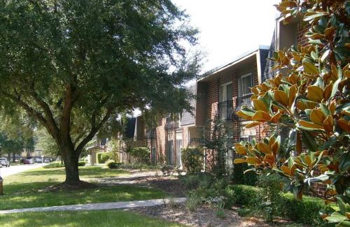 Gainesville Casa | ConCrete Suite 5 Min Walk to Shands UF