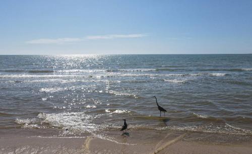 San Felipe Casa | Condo 5 in San Felipe Just Steps to the Beach Near the Malecon