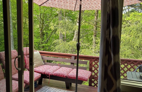 Sugar Mountain Condominio | Condo with a true cabin vibe in Sugar Mountain!