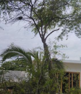 Máncora Apartamento | Condominio Carpe Diem Máncora