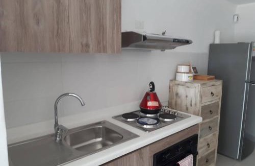 Rancagua Apartamento | Condominio parque trapiche 2