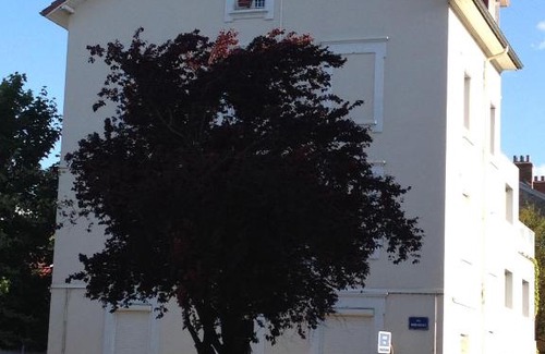 Quartier Chorier-Berriat Apartamento | Confort douceur et calme dans Grenoble