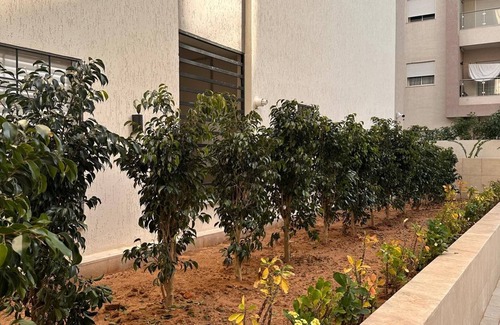Tunis Apartamento | Confort et Charme à la Tunisienne au Centre Ville de Tunis