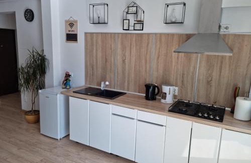 Lazaret Apartamento | Confort Sibiu Residence
