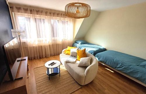 Saverne Apartamento | Confortable Spacieux Grand Rue - Garage