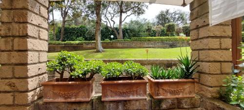 Punta Ala Apartamento | Confortevole Bilocale Giardino Doppio Parcheggio