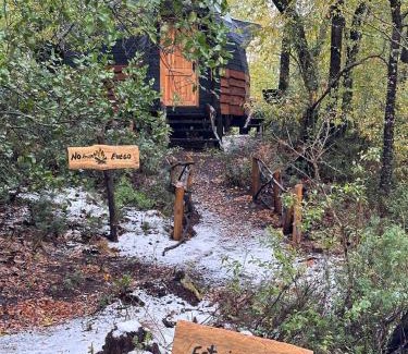 Melipeuco Cabina | Conguillio glamping