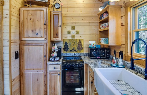 Green Valley Cabaña | Conifer Log Cabin Rental w/ Private Hot Tub & Pond