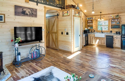 Green Valley Cabaña | Conifer Log Cabin Rental w/ Private Hot Tub & Pond