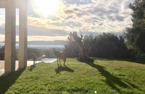 Merindol Casa | ¡Nuevo para 2020! Excepcional: casa contemporánea a los pies del Luberon