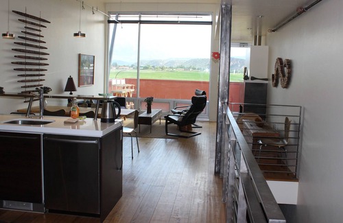 Dolores Lofts Condominio | Loft contemporáneo de Carbondale