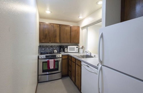Glacier Condominio | Contemporary MT BAKER Condo
