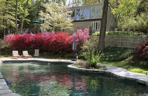 Bedford Casa | Contemporary Oasis with Pool