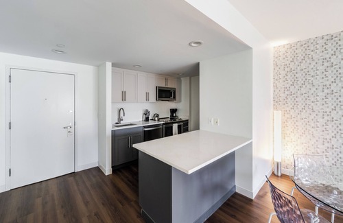 MIT Apartamento | Contemporary One Bedroom in Kendall Square