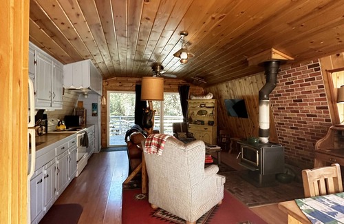 Pine Mountain Club Cabina | Ven acogedor en nuestra cabaña!