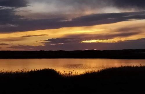 Bonney Casa | Coorong Island Retreat - Farm Stay at Pet Friendly Property