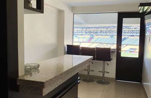 Guayaquil Chalet De Esquí | Copa libertadores final, Monumental Banco Pichincha Stadium