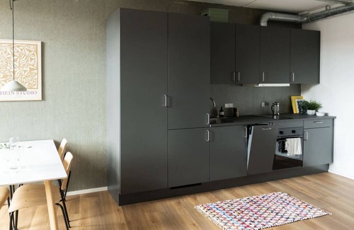 Frederiksberg C Apartamento | Copenhagen City Apartments