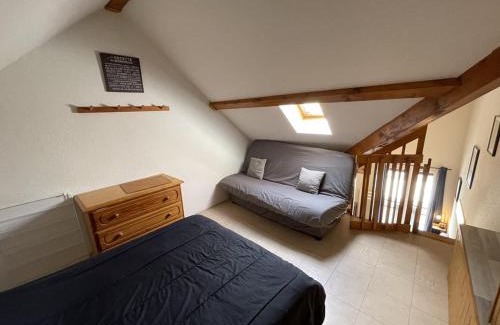 Laveissiere Apartamento | Coquet studio mezzanine exposé sud avec animaux admis - FR-1-787-122