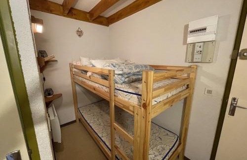 Laveissiere Apartamento | Coquet studio mezzanine exposé sud avec animaux admis - FR-1-787-122