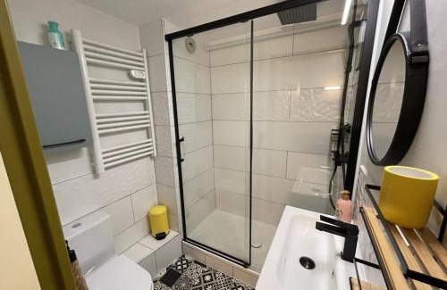 Laveissiere Apartamento | Coquet studio mezzanine exposé sud avec animaux admis - FR-1-787-122